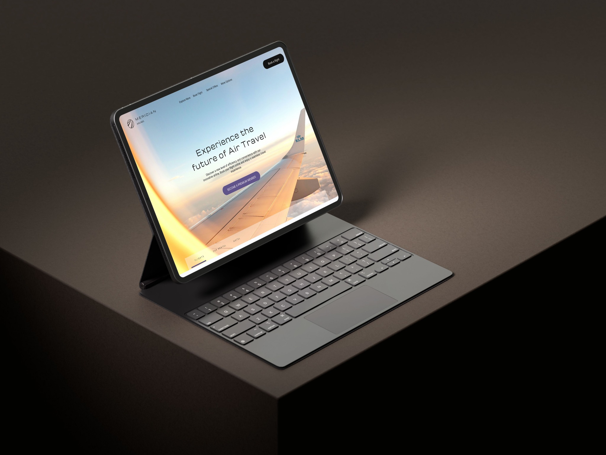 Meridian Airlines customer experience concept